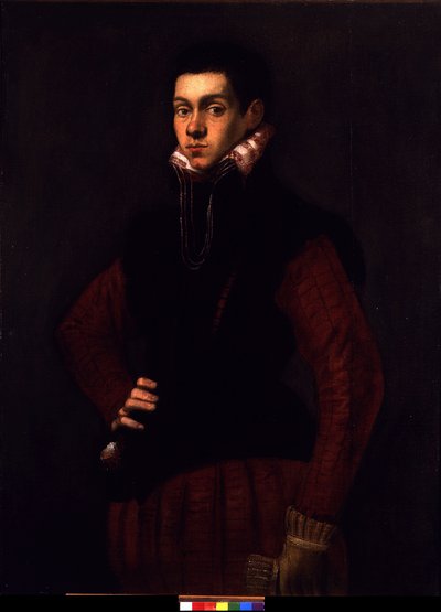 Portrait of a Young Man by Jacopo Robusti Tintoretto