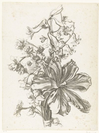 Bouquet with a tulip, a hyacinth, brodiaea, and daffodils (series title: Various Flowers Arranged in Bouquets) by Jacques Bailly (I)