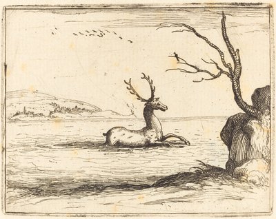 Stag in the Water by Jacques Callot