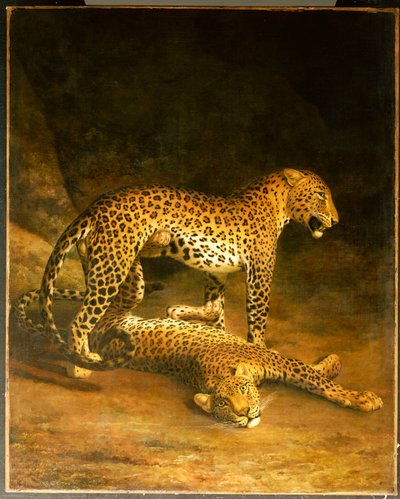 Two Leopards Lying in the Exeter Exchange by Jacques Laurent Agasse