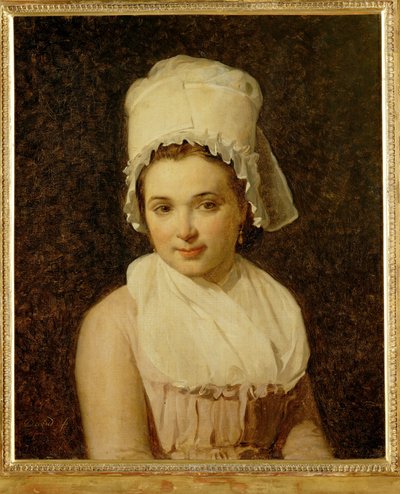 Catherine-Marie-Jeanne Tallard, Wife of Francois Lamy, Mayor of Sougere/Yonne by Jacques Louis David