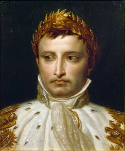 Napoleon I in Coronation Robes by Jacques Louis David