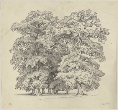 Felling of Trees by Jakob Becker