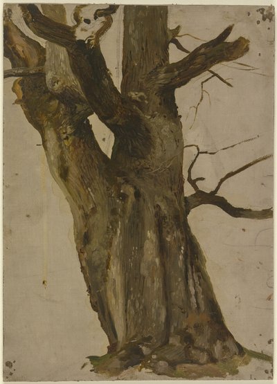 Hollow Tree by Jakob Becker