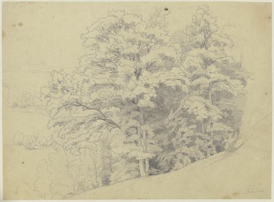 Piece of a Forest on a Slope by Jakob Becker