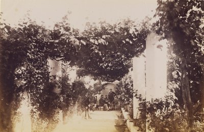 Garden - Capri by James Anderson