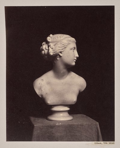 Gibson, Ideal Head by James Anderson