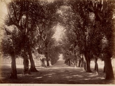 Villa Borghese by James Anderson