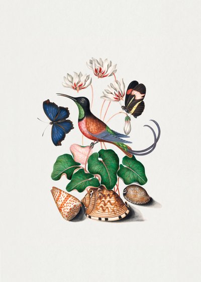 Hummingbird by James Bolton