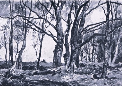 Pollard Willows in Windsor meadows, Nature in Britain published by Collins by James Duffield Harding