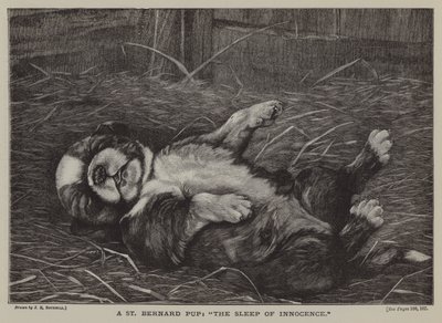 A St Bernard Pup: The Sleep of Innocence by James E. Bourhill