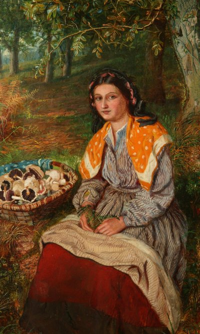 The Mushroom Gatherer by James Edgar