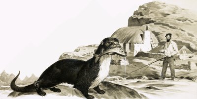 Otter with Fish, and Man Fishing by James Edwin McConnell