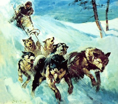 The Canadian Husky by James Edwin McConnell