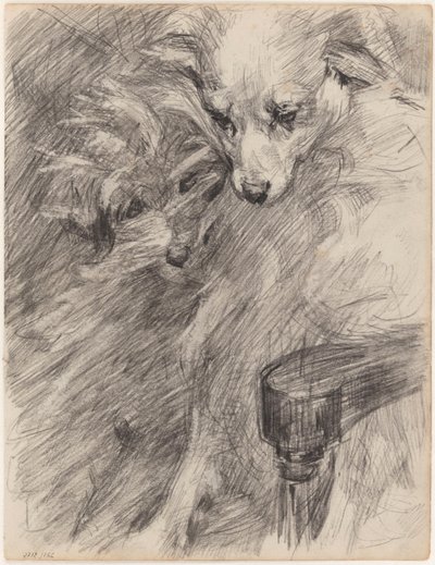Two Dogs in an Armchair by James Ensor