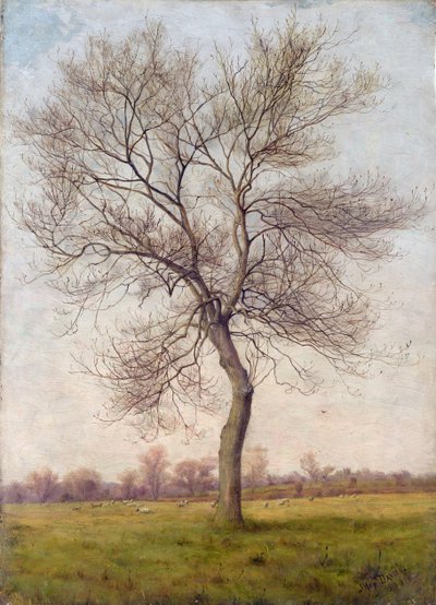 Study of an Ash Tree in Winter by James Hey Davies