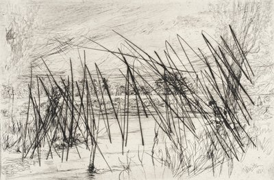 Landscape with a Fisherman by James McNeill Whistler