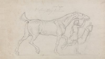 Man Leading a Trotting Stallion to Right by James Seymour