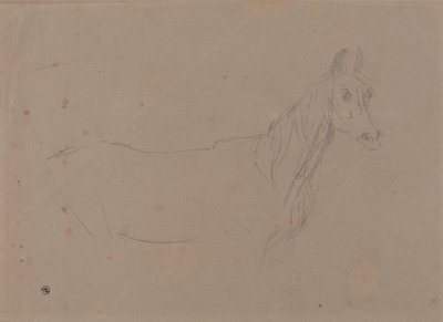 A Mare, Possibly a Study for "L