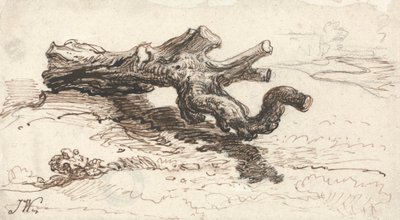 A Tree Trunk on the Ground by James Ward