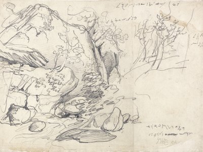 Study of a Mountain with Trees by James Ward