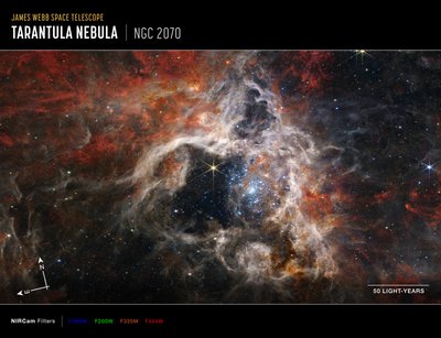 Tarantula Nebula by James Webb Space Telescope (NASA)