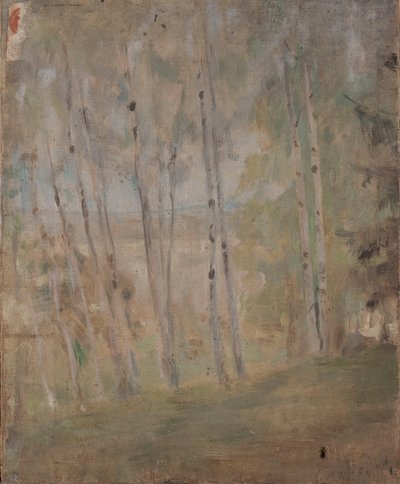 Mariino - Birches by Jan Ciągliński