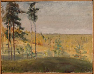 Terioki - Finland by Jan Ciągliński