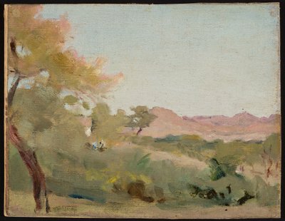 Udaipur - Indian landscape. From a journey to India by Jan Ciągliński
