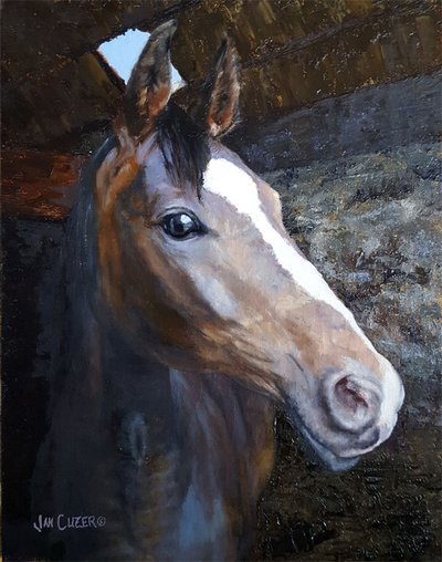 Horse In Stable Light by Jan Clizer
