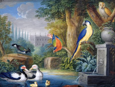 Exotic birds in an ornamental garden, c.1650 by Jan Gerritsz. van Bronckhorst
