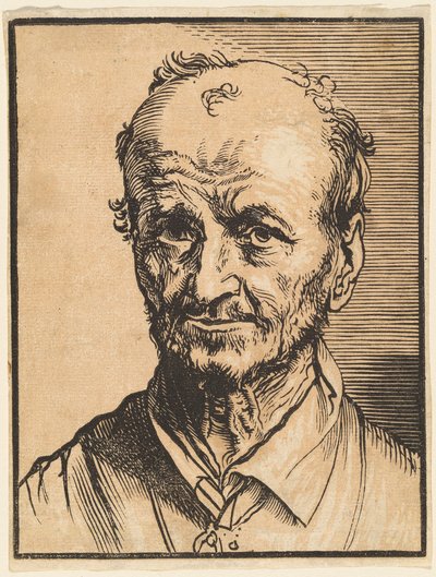 Bust of a Balding Man by Jan Lievens