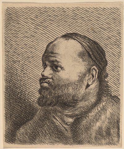Bust of a Man with Thick Lips by Jan Lievens