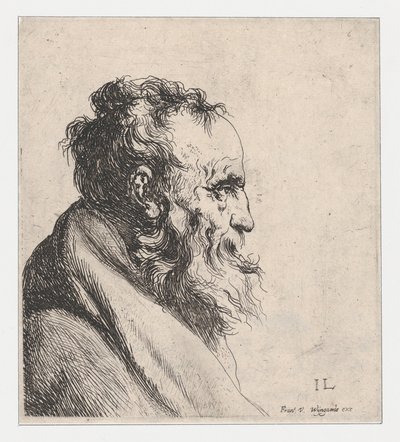 Bust of an Old Man by Jan Lievens