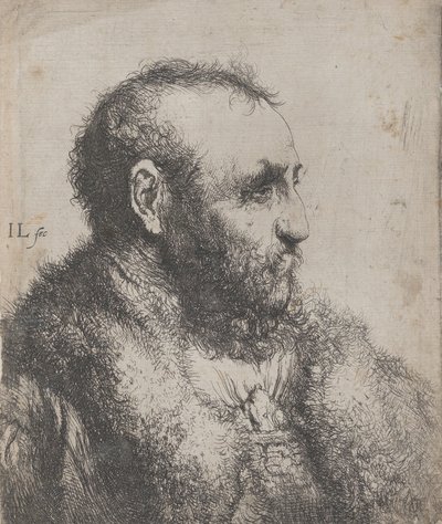 Bust of an Old Man with a Fur Collar by Jan Lievens