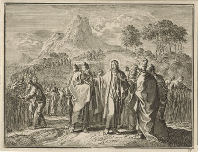 Picking Corn on the Sabbath by Jan Luyken