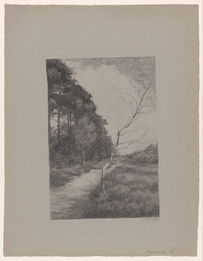 Path between Trees by Jan Veth