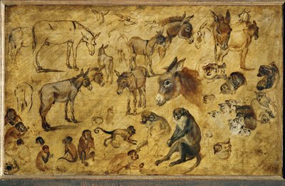 Animal Studies by Jan the Elder Brueghel