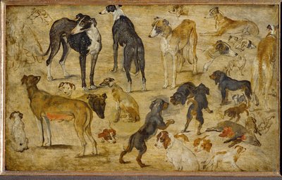 Animal Studies by Jan the Elder Brueghel
