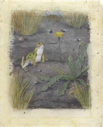 Frog by a Dandelion with Flies by Jan van Oort