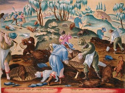 Digging Out and Capturing Porcupines, plate 54 