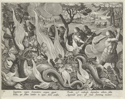Catching Serpents in India Using Clubs and Torches to Light the Undergrowth, plate 44 from Venationes Ferarum, Avium, Piscium (Of Hunting: Wild Beasts, Birds, Fish) pub. 1640 by Jan van der 1523 1605 Straet