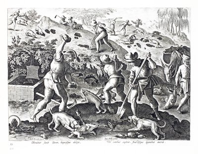 Digging out and capturing Badgers, illustration from 