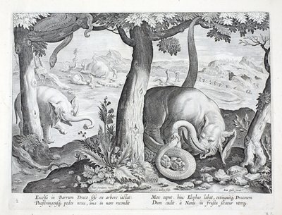 Snake Used in Elephant Hunting, Illustration from 