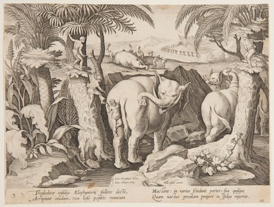 Cavemen Chasing Elephants, plate 3 from the Venationes Ferarum, Avium, Piscium series by Jan van der Straet, called Stradanus
