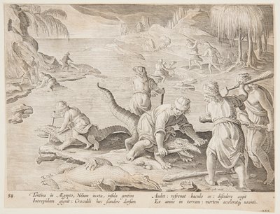 Crocodile Hunt in Tentyra, in Egypt, Plate 30 from the Venationes Ferarum, Avium, Piscium Series by Jan van der Straet, called Stradanus