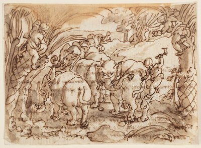Recto: Elephants Hunted by Troglodytes; Verso: inscription relating to Pliny the Elder