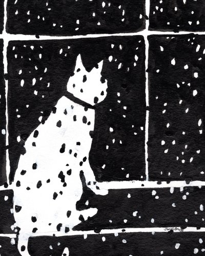 Cat in Window During Snow Storm, c.2019 by Janel Bragg