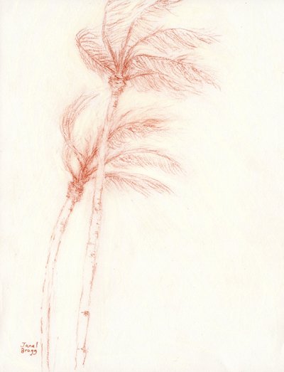 Once Upon a Tropical Vacation Palm Trees by Janel Bragg