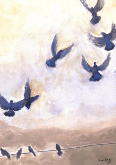 Pigeons in Flight in Anacortes, 2024 by Janel Bragg